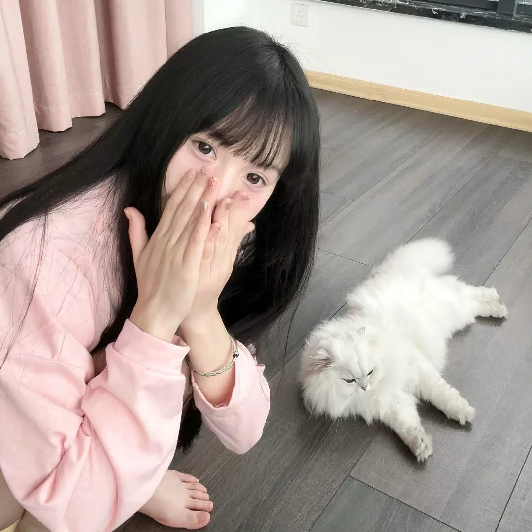 鹰勇潜舰